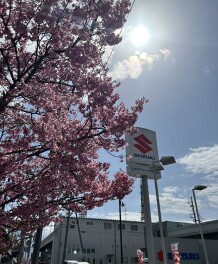 新年度が始まります！